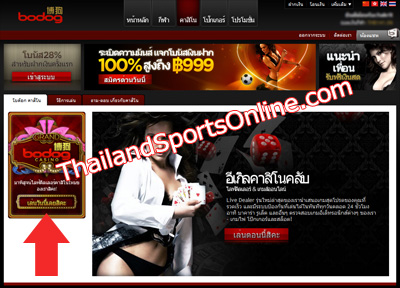 Bodog casino dealer hiring